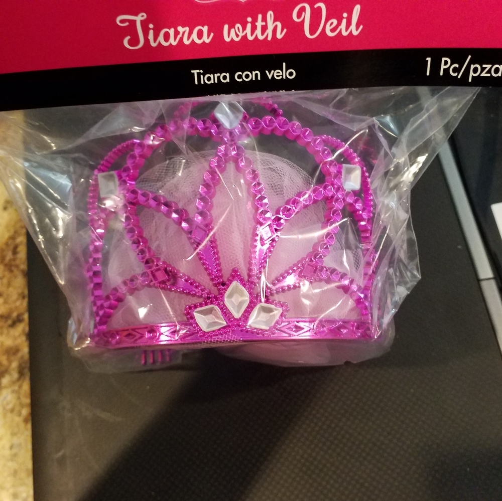 Bachelorette Party Bride Pink Tiara w Veil.